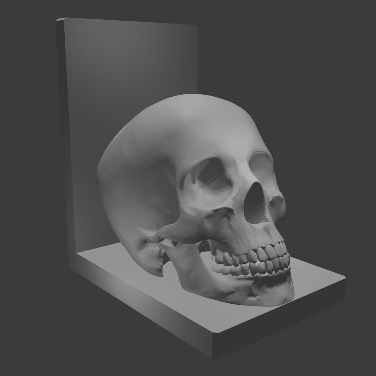 Media 1 for listing Skull Bookend Gothic Decorative Shelf Piece