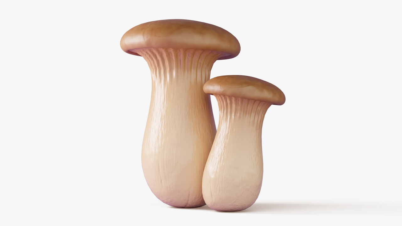 Media 1 for listing Eryngii Mushrooms