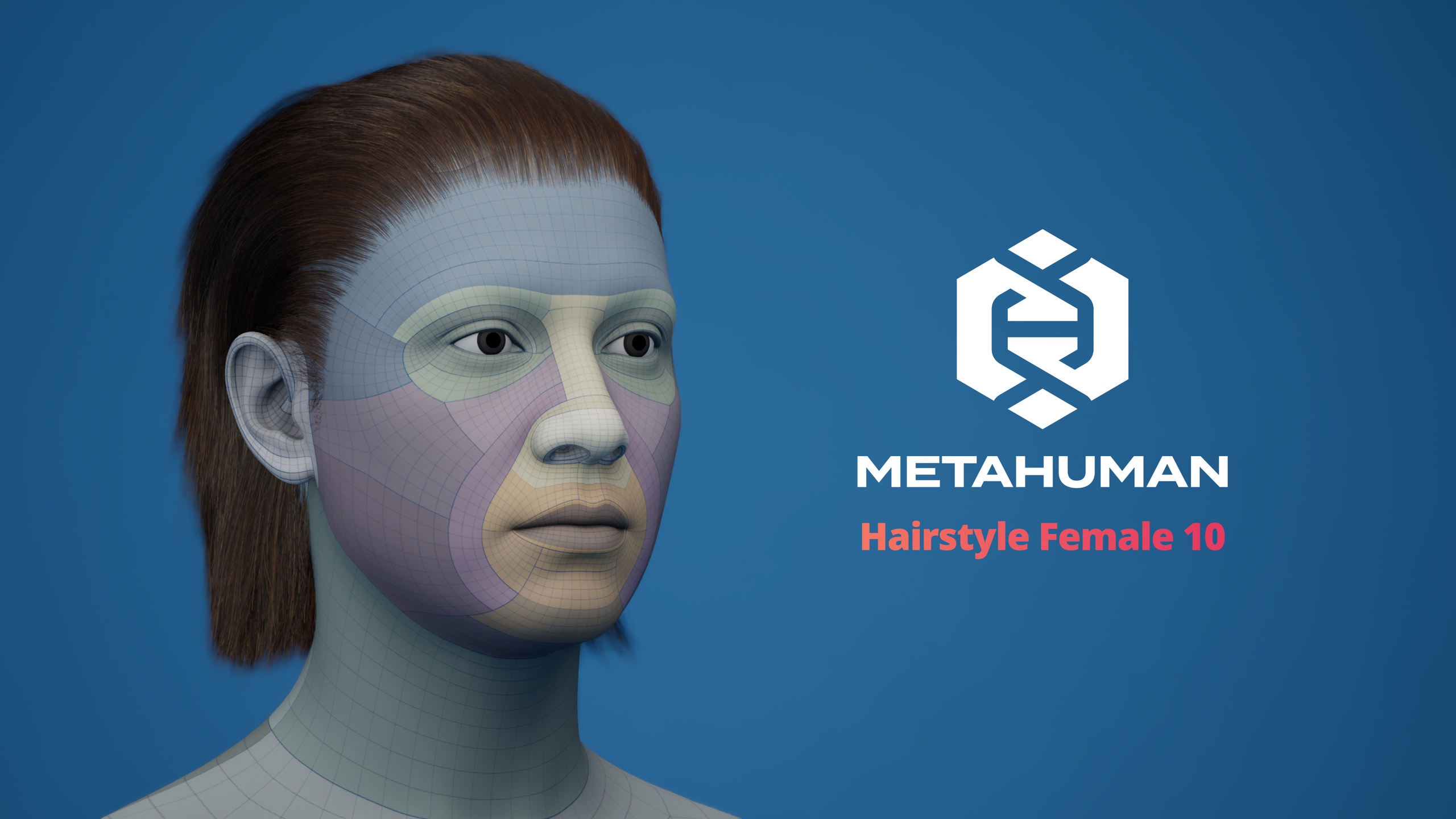 Media 1 for listing MetaHuman Hairstyle Female 10 Groom