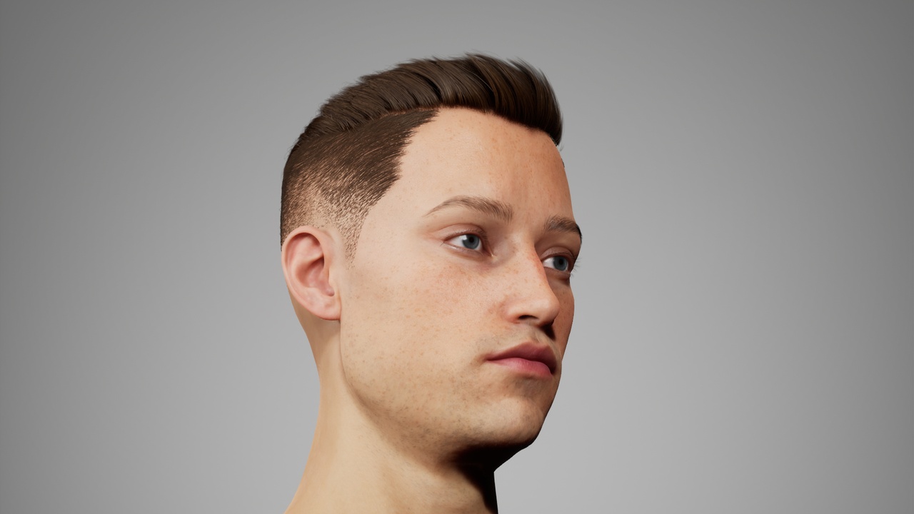 Media 1 for listing MetaHair 218- Groom hair for Metahumans - With lowpoly version in additional