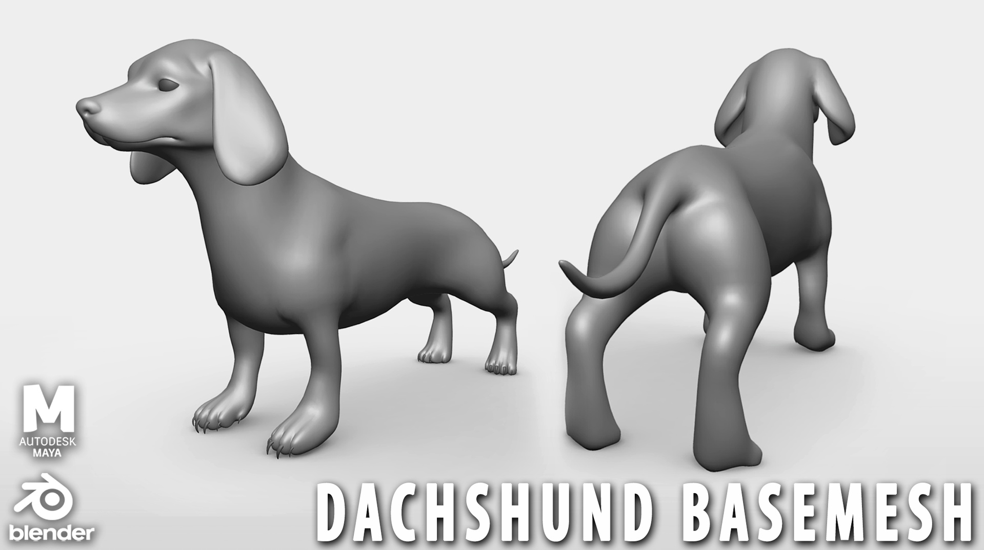 Media 1 for listing Dachshund - Topology + UV map