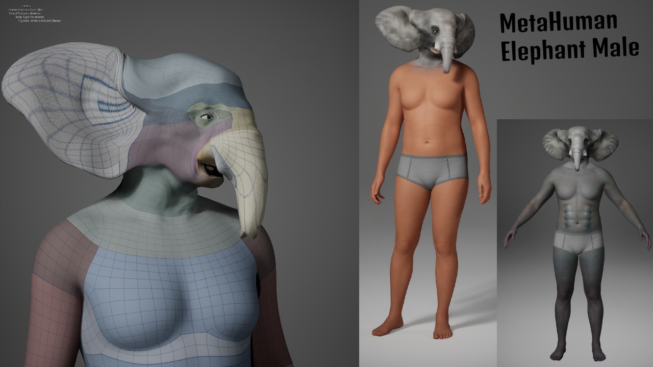 Media 1 for listing MetaHuman Elephant Male