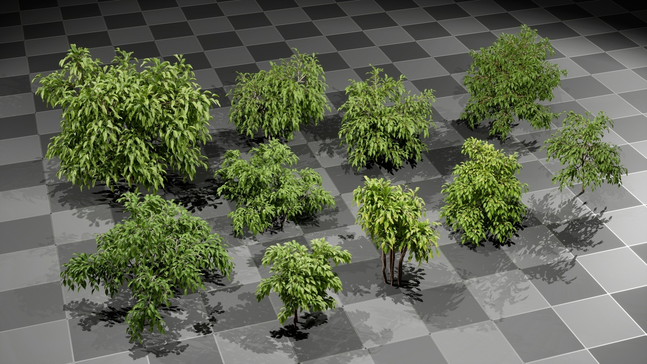 Multimedia 1 dla listy Realistic Bushes Vol.2