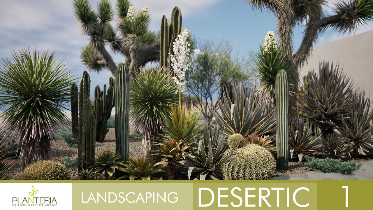 出品Landscaping Desertic 1のメディア1