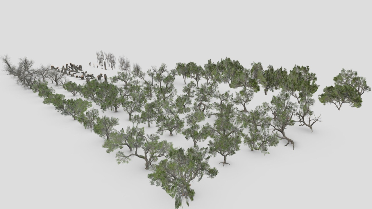 Media 1 for listing Live Oak Pack/ 1-133 model