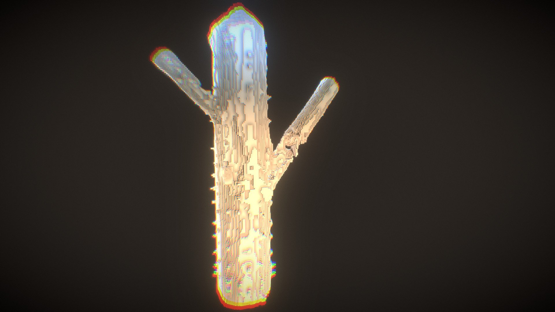 Disco Cactus | Fab