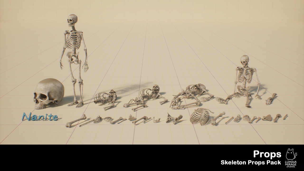 Media 1 for listing Skeleton Remains