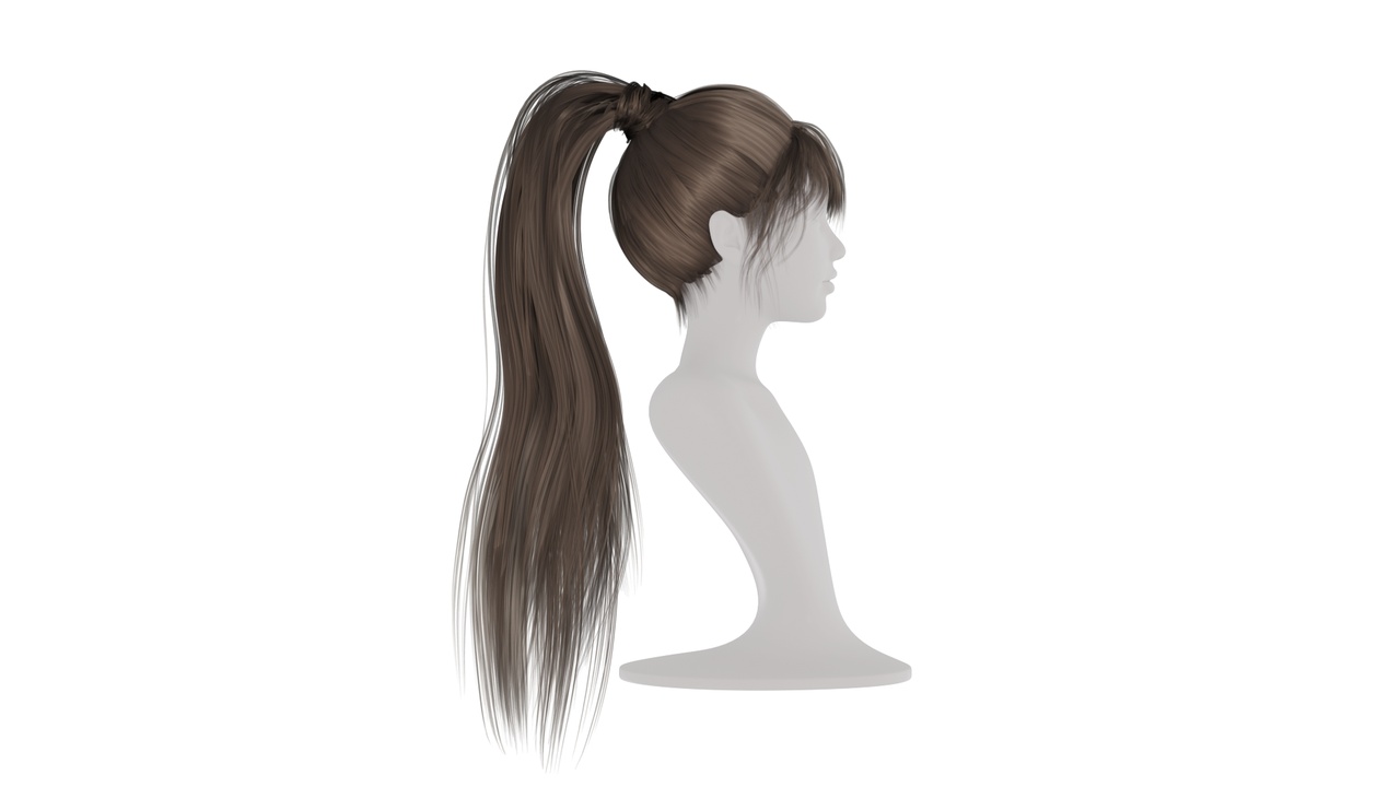 Media 1 for listing Realistic Female High ponytail Hair Style