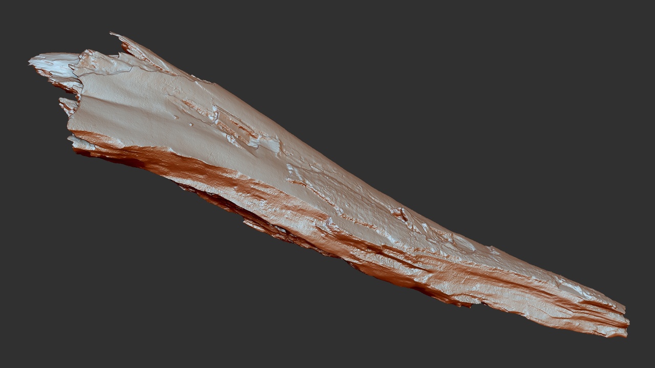 Media 1 for listing Peeling Tree trunk Wood ZBrush engraving highpoly