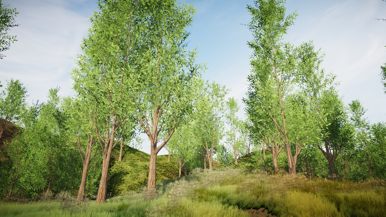 Media 1 for listing Realistic Trees Pack 35 (Mobile/PC)