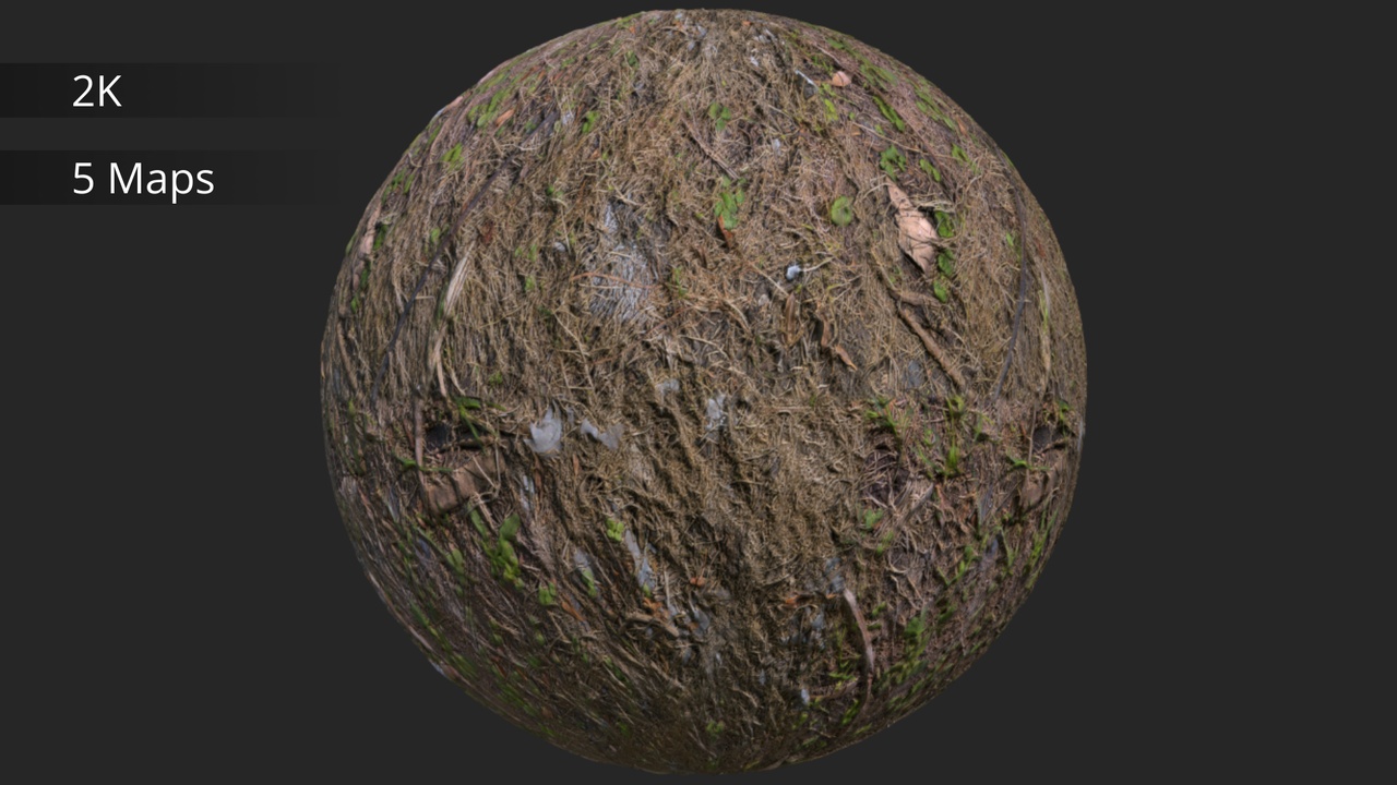 Media 1 for listing Forest Ground | Material