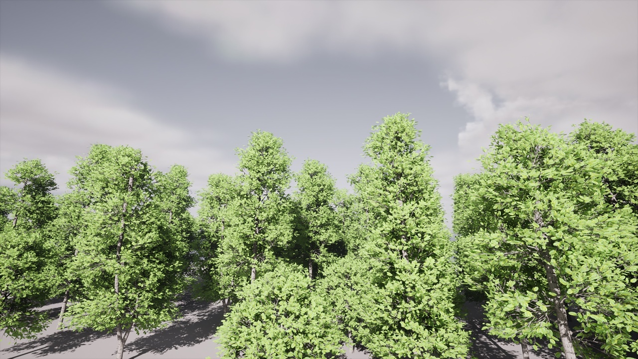 Media 1 for listing HighPoly Tree Pack 41