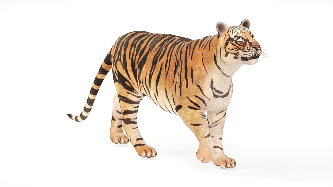 Media 1 for listing Ultimate Realistic Wildlife Animals Pack