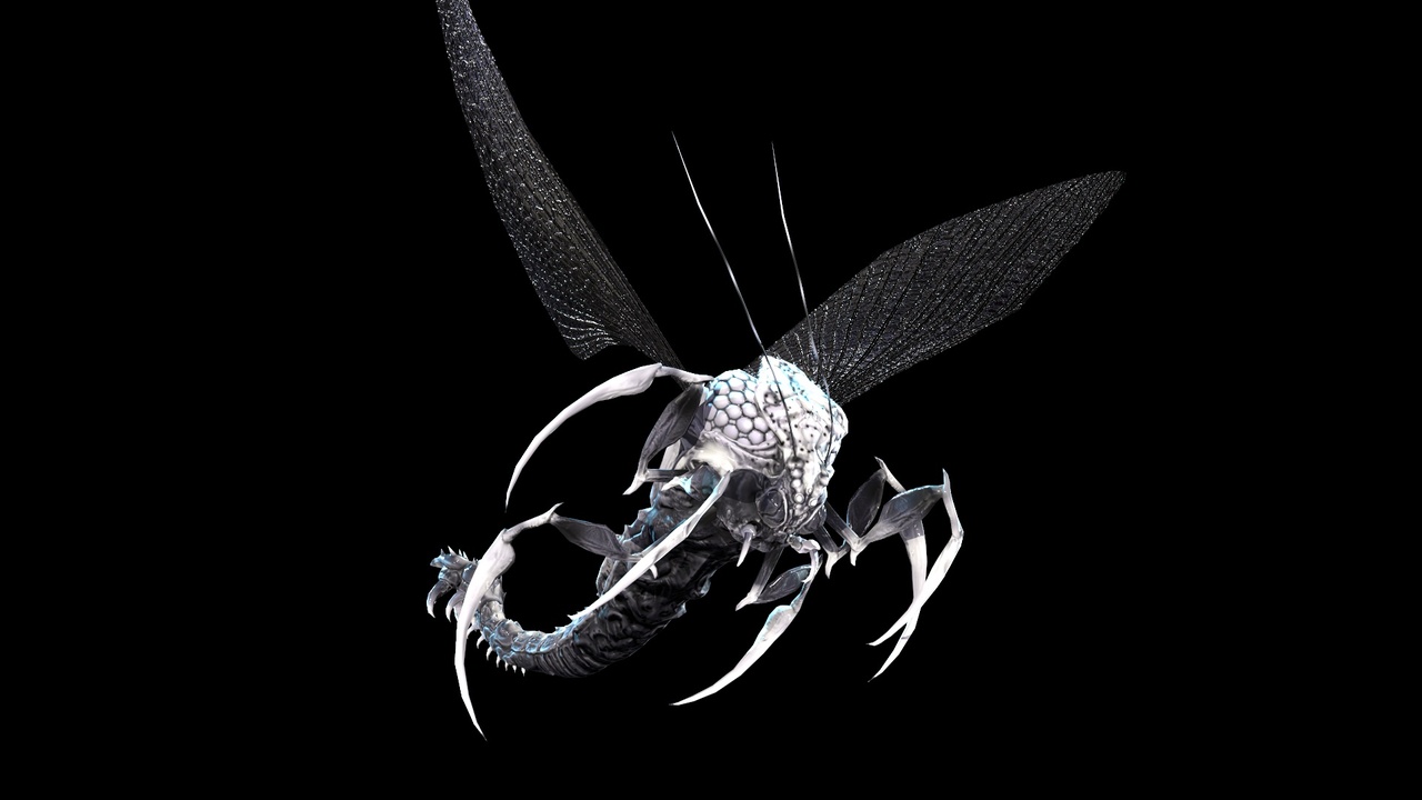 Media 1 for listing Flying bug 10