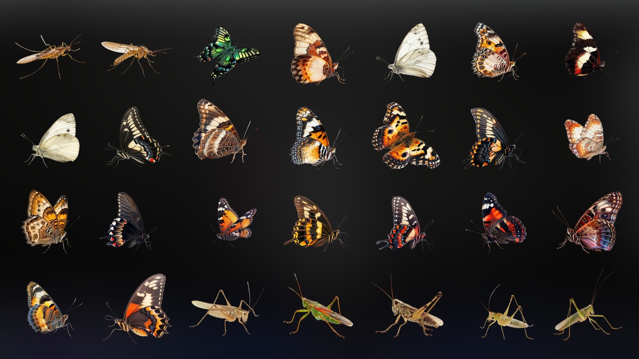 Media 1 for listing Insects - Icon Pack
