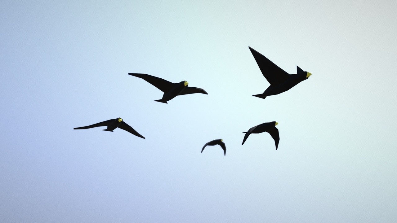 Media 1 for listing Birds