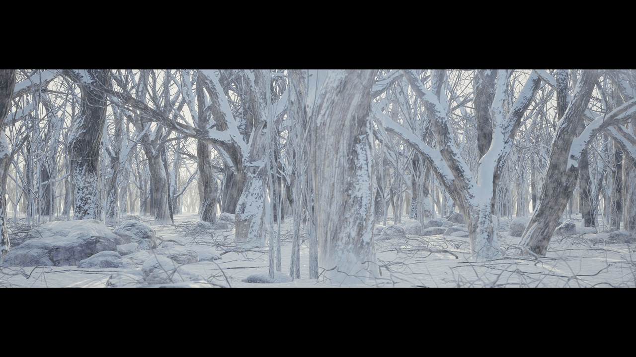 Media 1 for listing Winter Forest