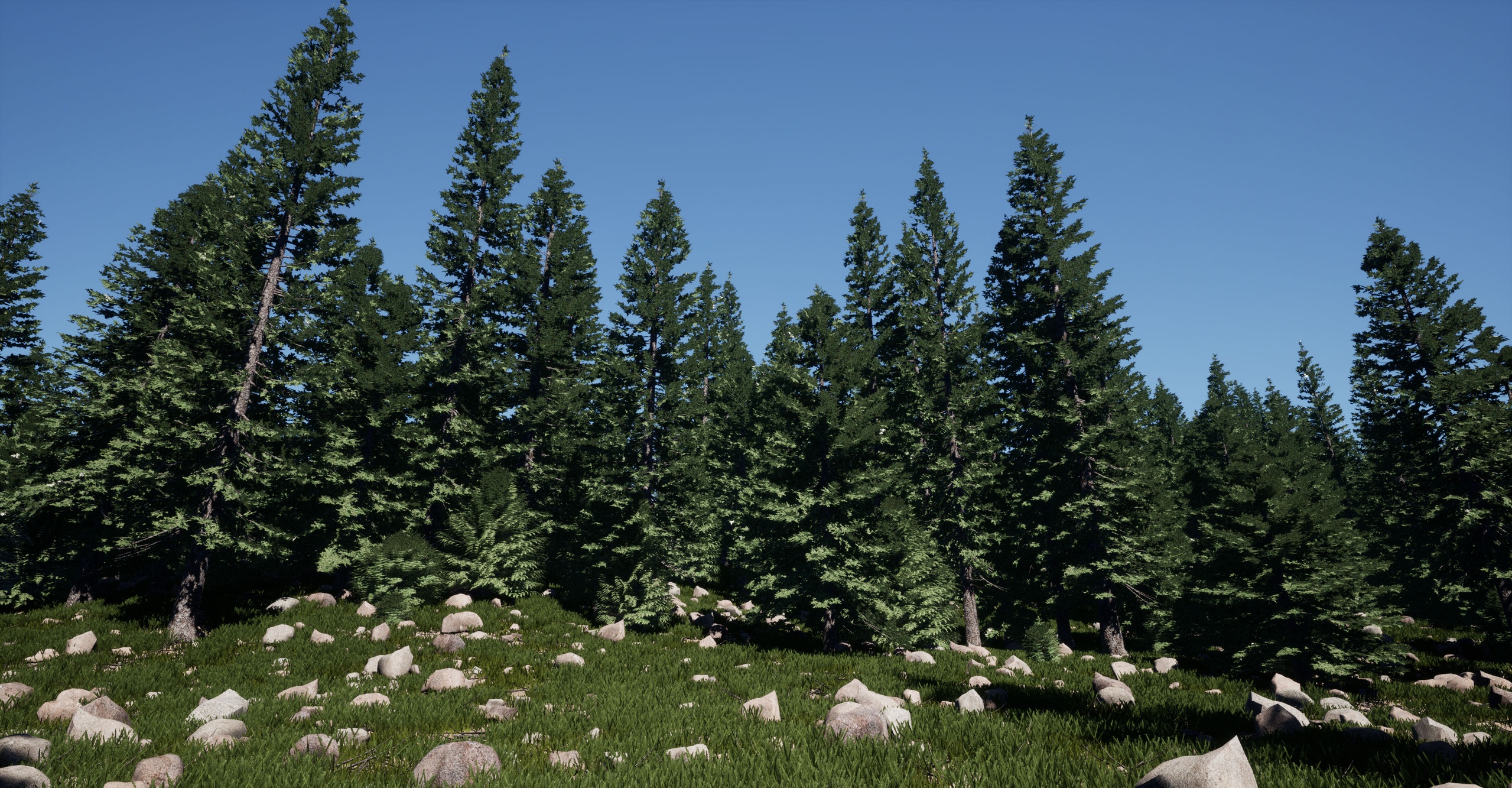 Trees Colorado Spruce Tree 제품 등록을 위한 미디어 1개