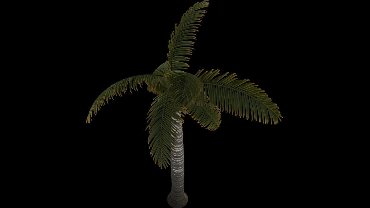 Media 1 for listing Tropical Palm Tree 1