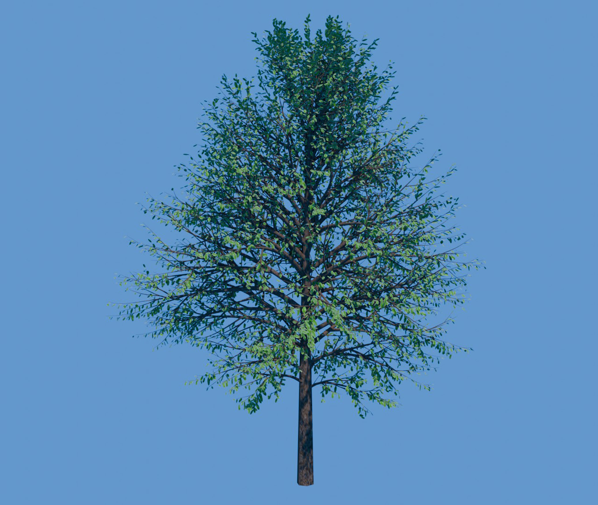 Bush Tree 01 | Fab