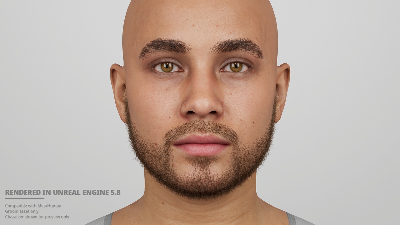Media 1 for listing Short Low Boxed Beard with Connected Mustache – MetaHuman Groom