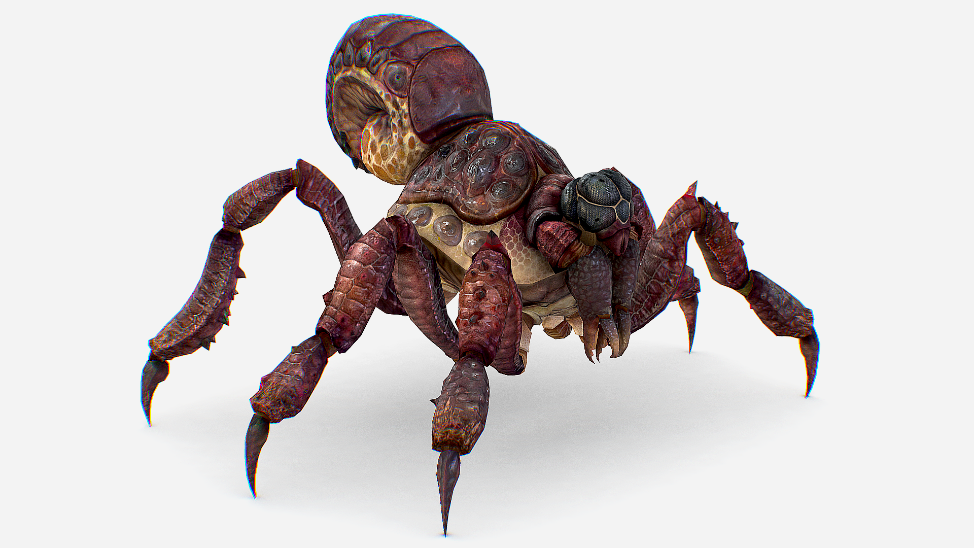 Spider Insect - Tarantula - Fantasy Alien Monster - Creature Giant ...