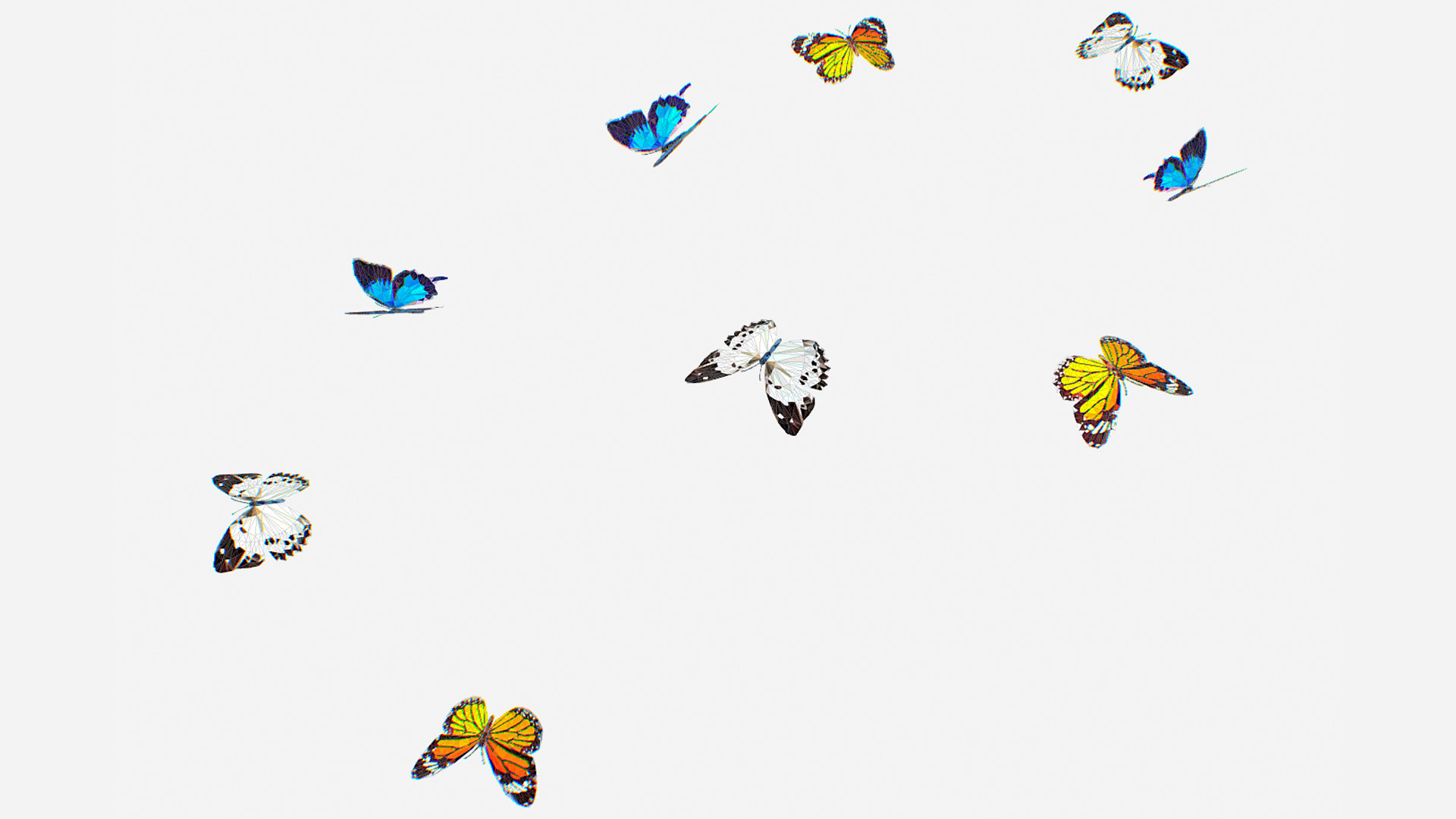 Fly Insect Animation Butterfly Insect Flock Animated Fly Animal Wing Butterflies Polyart | Fab