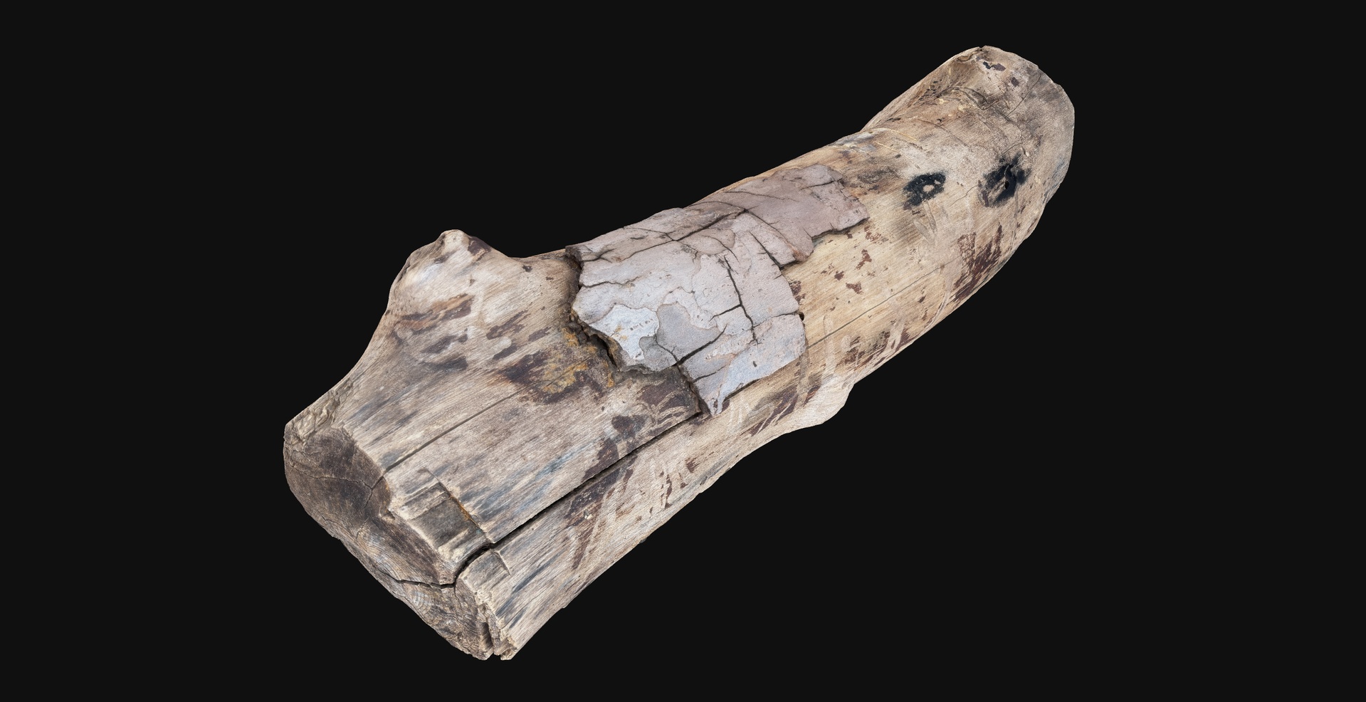 Media 1 for listing Realistic Cracked tree trunk timber wood 3D Scan in highpoly