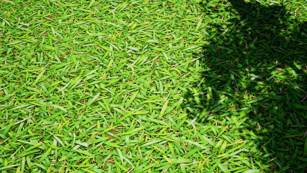 商品 Grass Ground Material Vol.3 的媒体 1