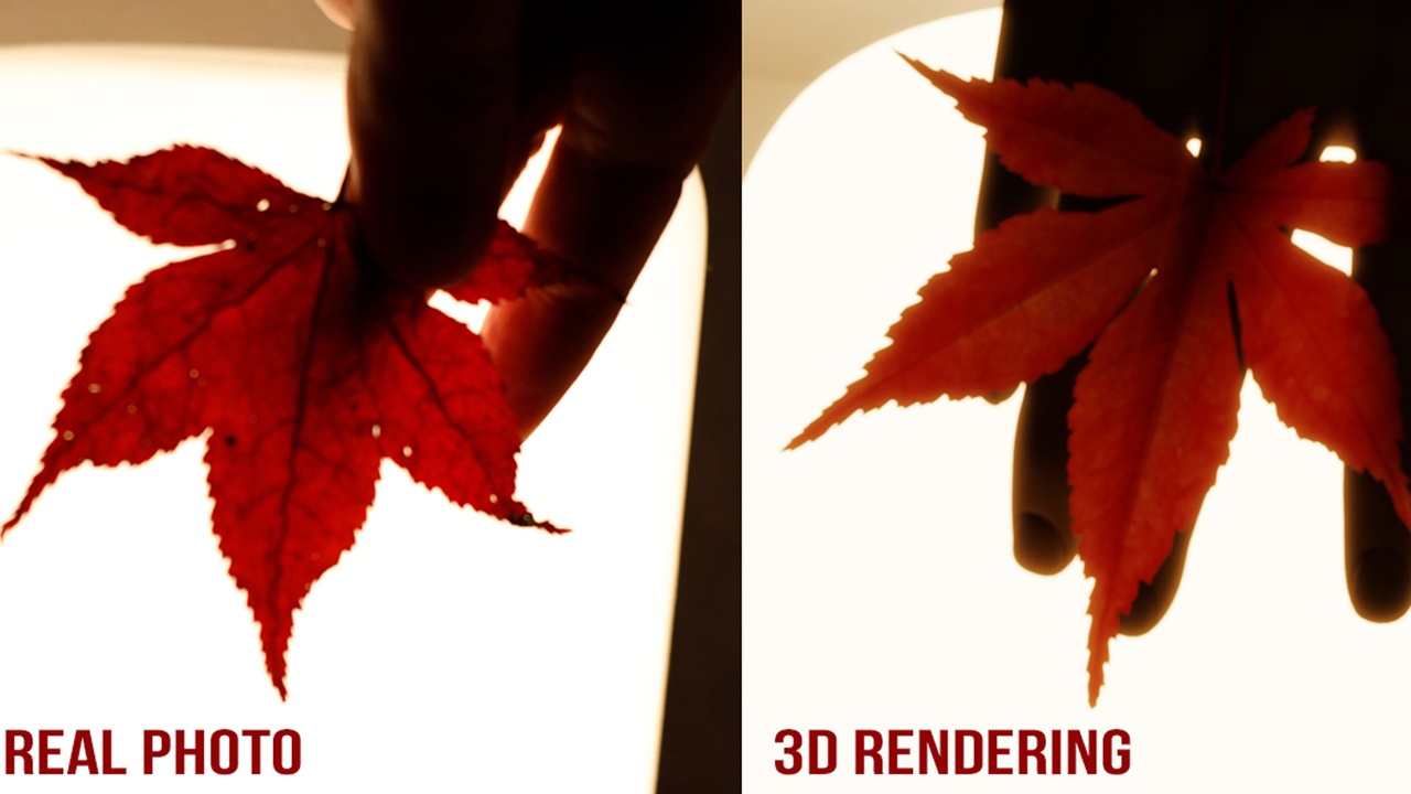 Media 1 for listing Realistic Japanese Maple Leaves Pack - Atropurpureum