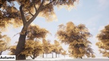 Asset image