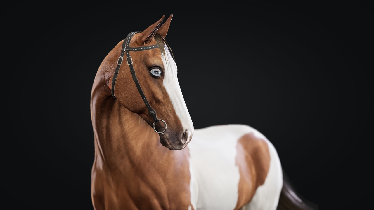 Media 1 for listing Horse Herd