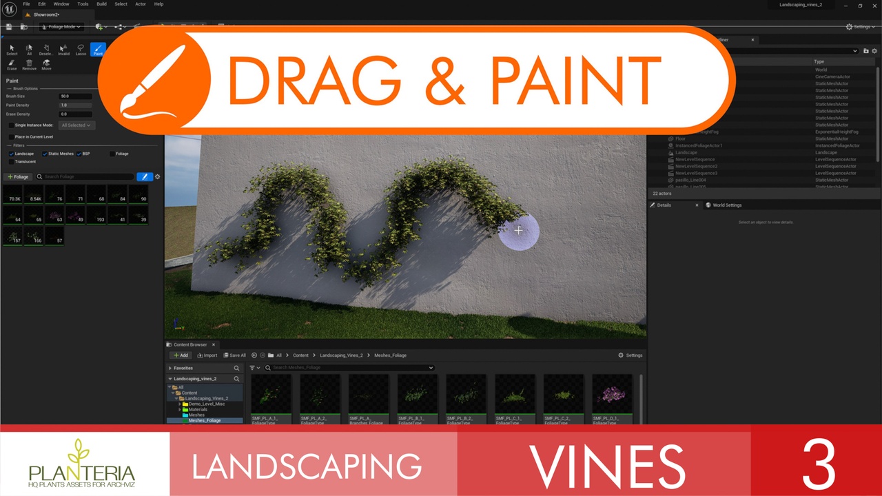 Média 1 pour l'article Landscaping Vines 3