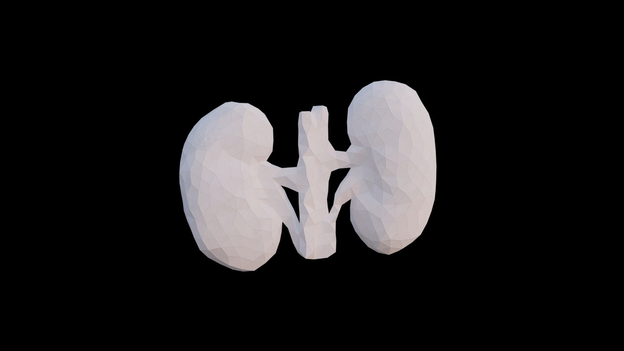 Media 1 for listing Origami human kidney made out of triangles. Unfolding growing animation.