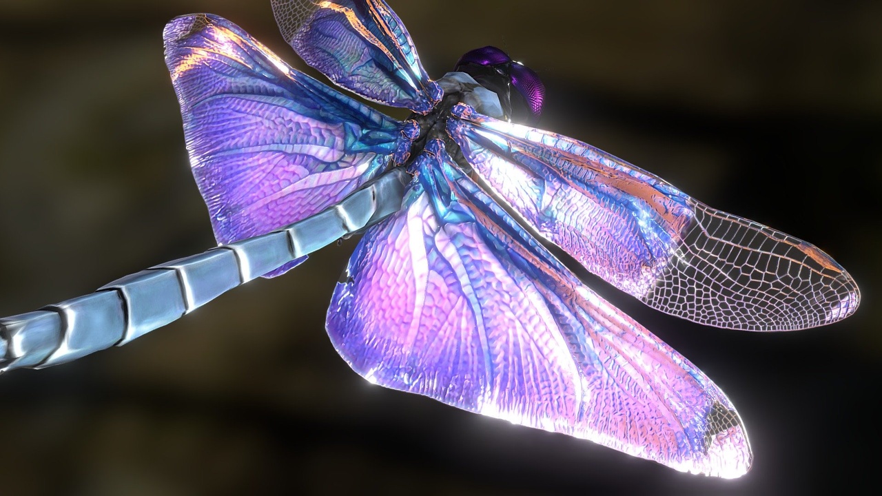 Media 1 for listing Rhyothemis fuliginosa