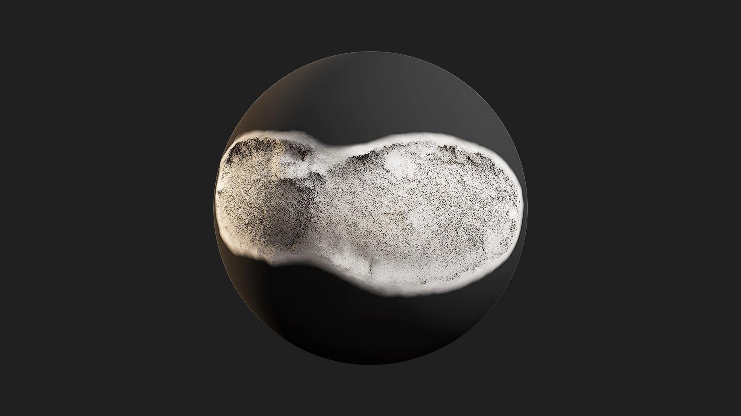 Media 1 for listing Snow Footprint