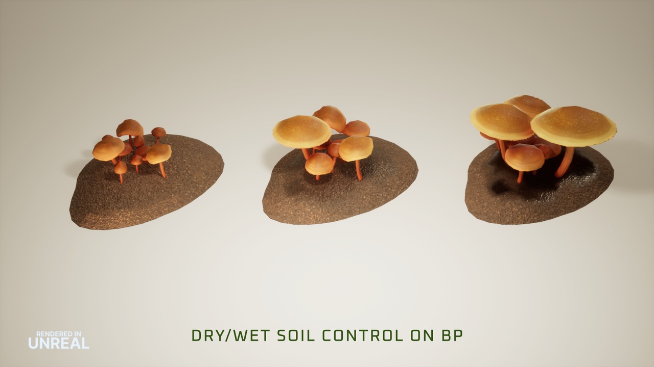 Media 1 for listing Wild Harvest: Mushrooms