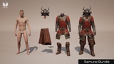 Asset image