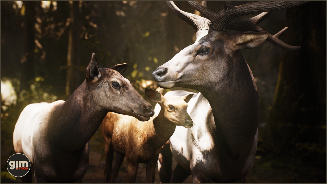 Media 1 for listing Animalia - Elk (pack)