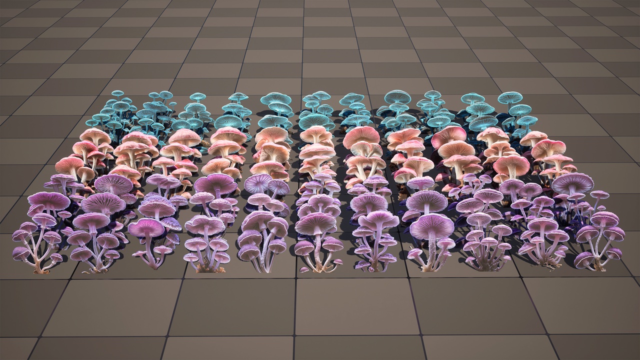 Media 1 for listing Mushroom Pack 01