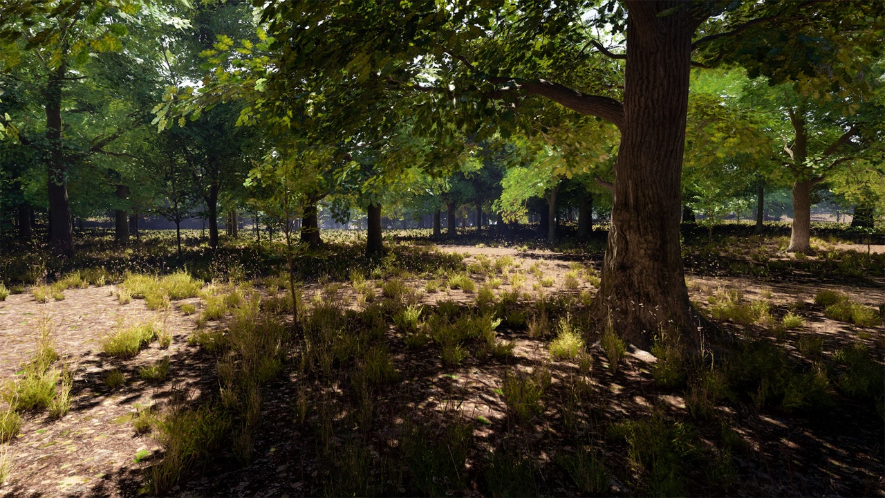 Media 1 for listing Oak Trees Pack 8k