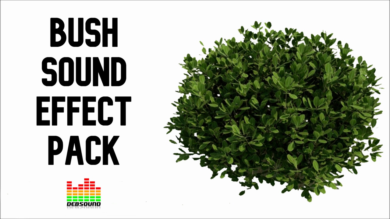 Bush Sound Effect Pack | Fab