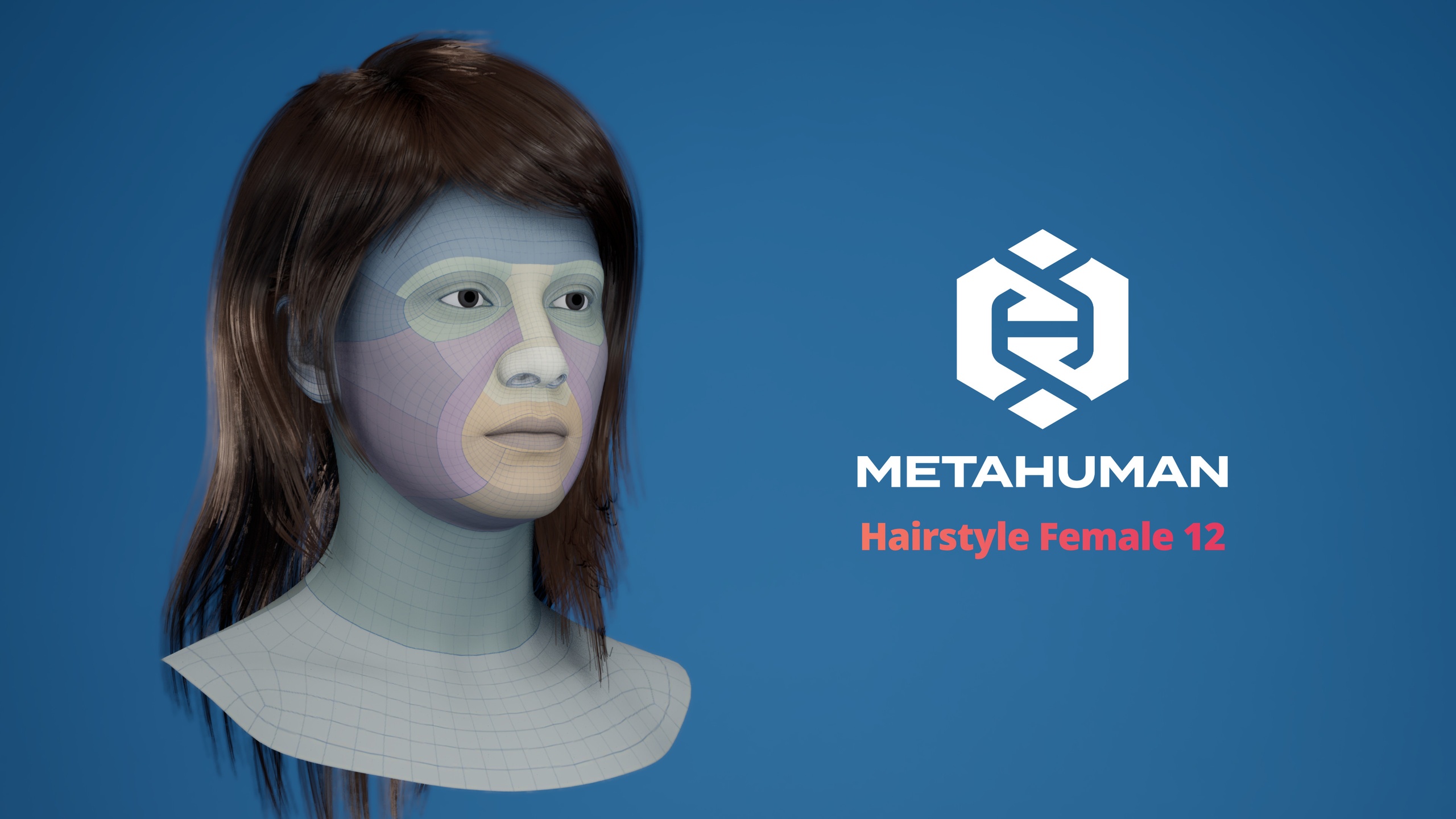Media 1 for listing MetaHuman Hairstyle Female 12 Groom