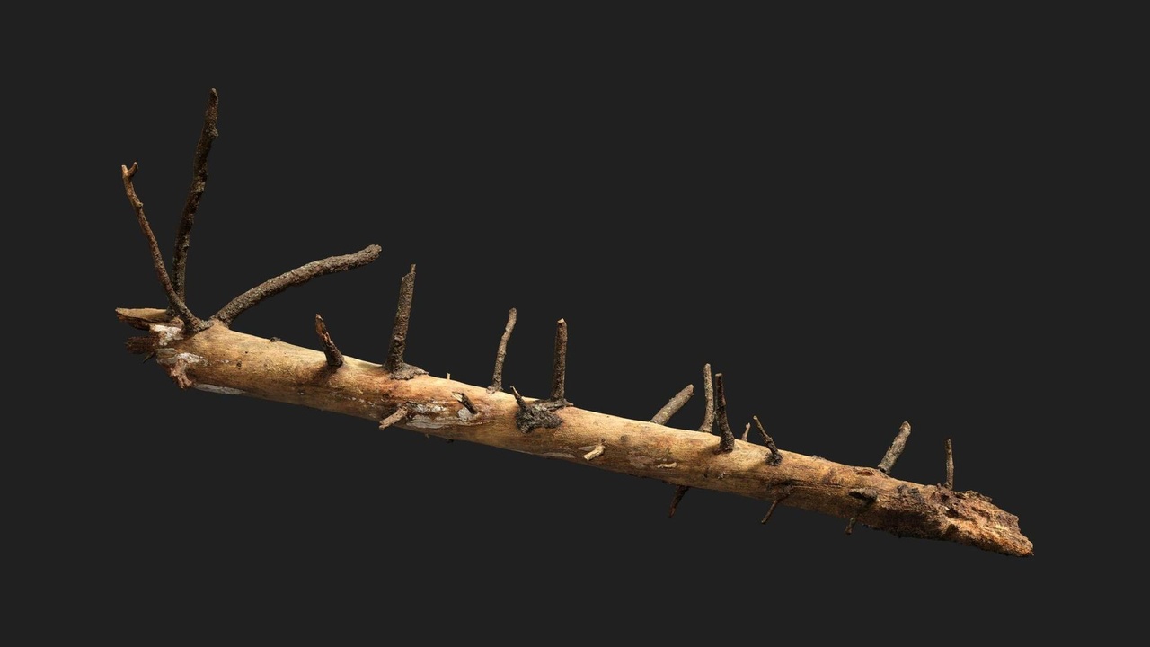 商品 Nordic Forest Tree Log Small 的媒体 1