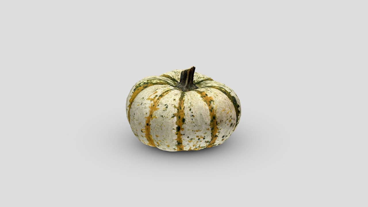 Media 1 for listing Small Striped Pumpkin