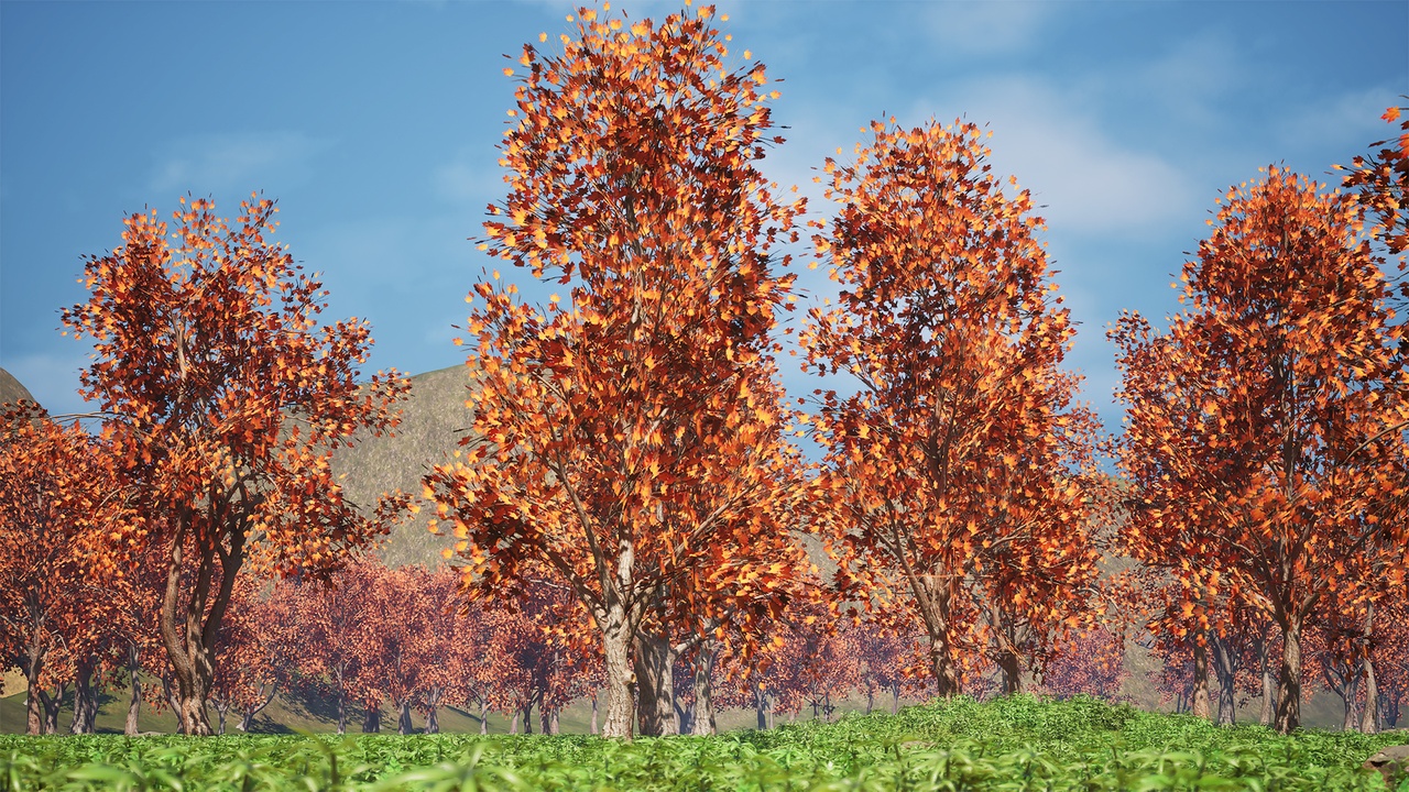 Media 1 for listing Realistic Tree Pack - Mid Poly 24P