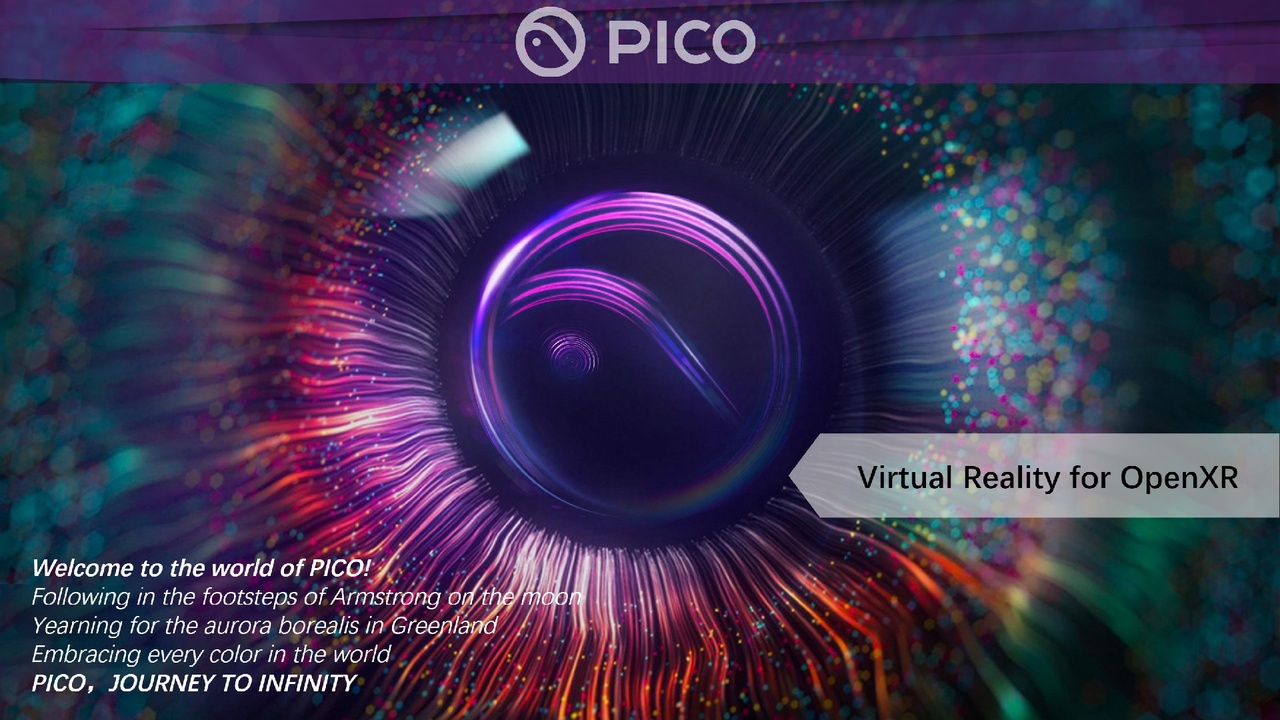 Media 1 for listing PICO OpenXR