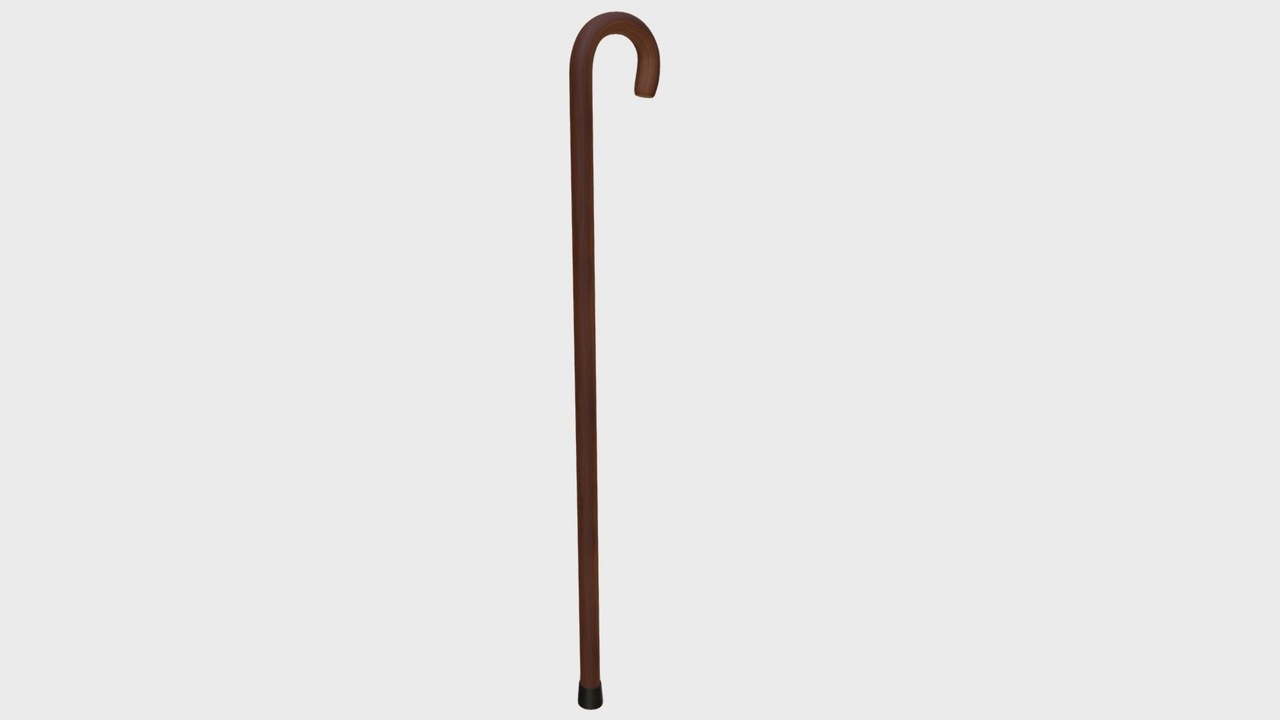 Media 1 for listing Walking stick