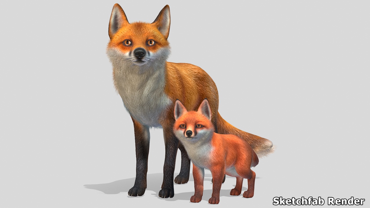 Media 1 for listing Fox - Family
