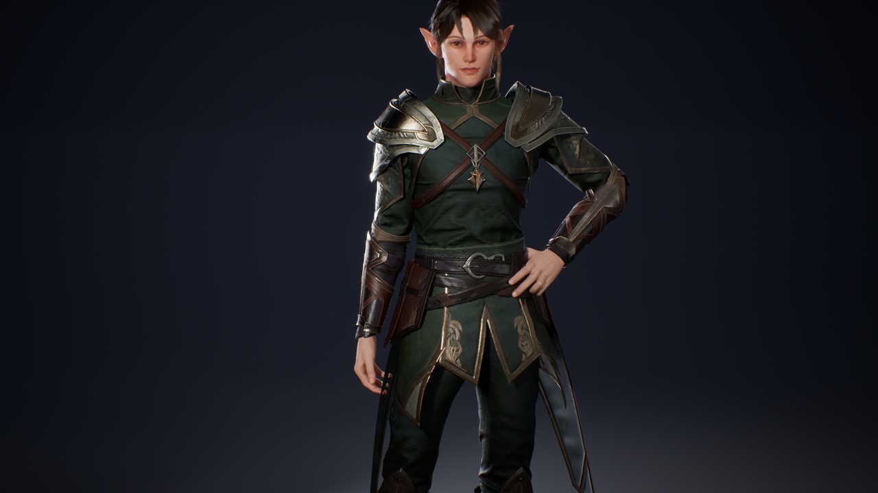 Media 1 for listing Male Elf Ranger Character Aren